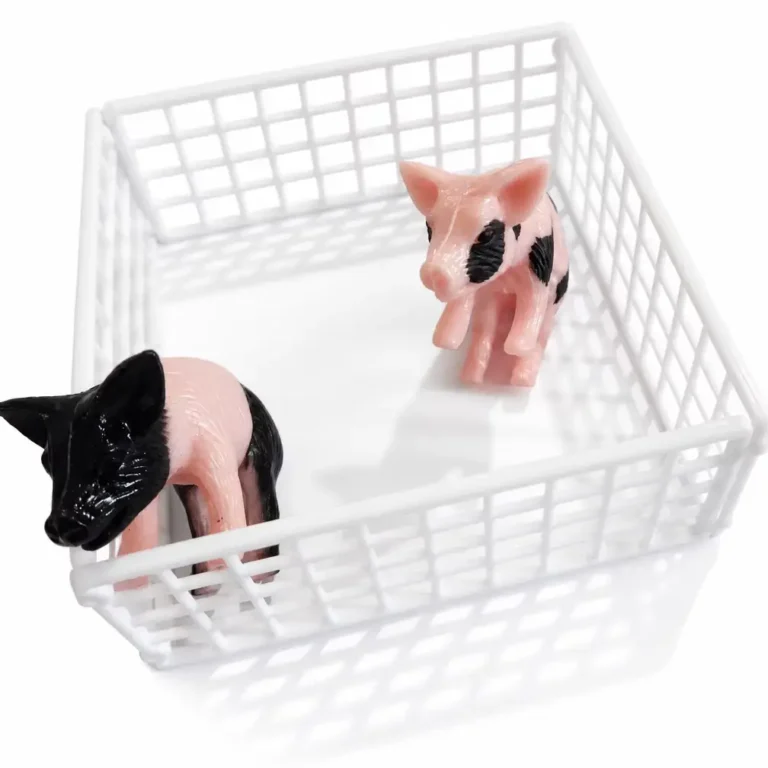 猪玩具2