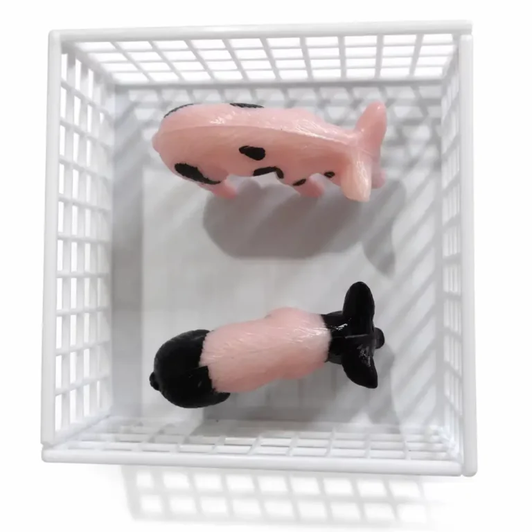 猪玩具4